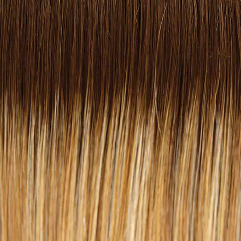 Eva Gabor Wig Color Dark Chocolate Mist