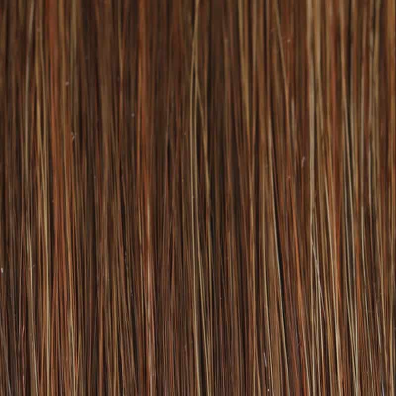 Eva Gabor Wig Color Dark Chocolate Mist