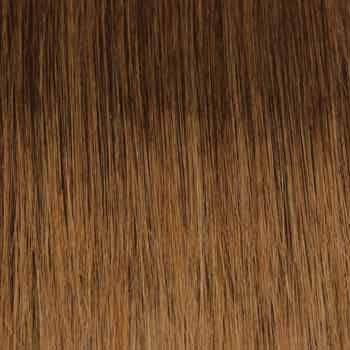 Eva Gabor Wig Color Dark Chocolate Mist