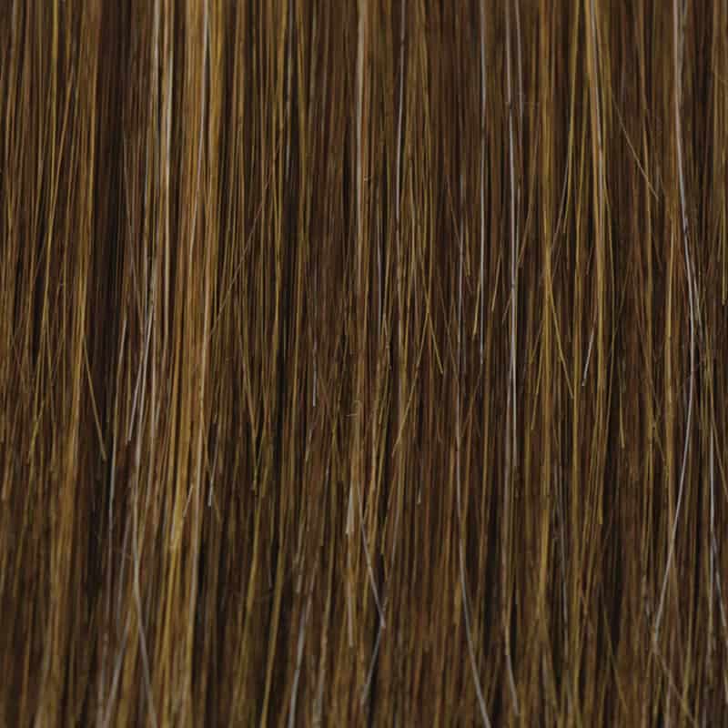 Eva Gabor Wig Color Dark Chocolate Mist