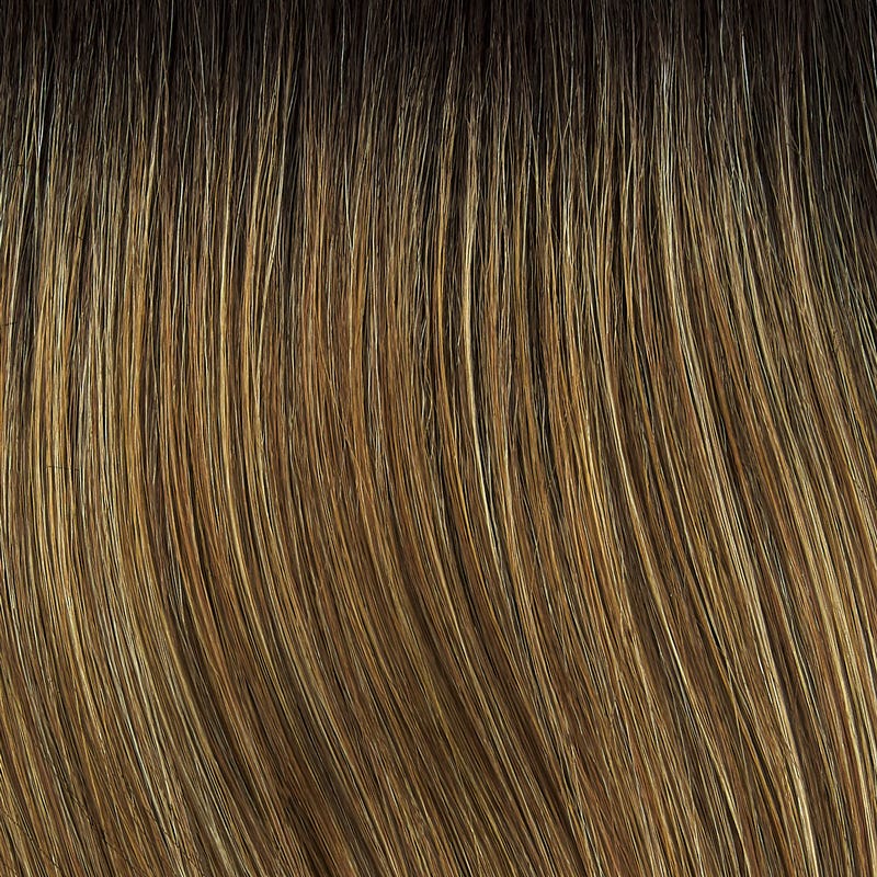 Eva Gabor Wig Color Dark Chocolate Mist