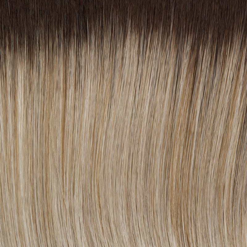 Eva Gabor Wig Color Dark Chocolate Mist