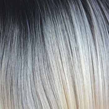 Eva Gabor Wig Color Dark Chocolate Mist
