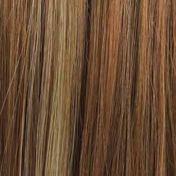 Eva Gabor Wig Color Dark Chocolate Mist