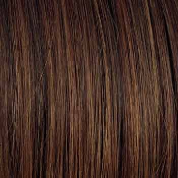 Eva Gabor Wig Color Dark Chocolate Mist