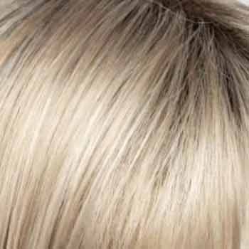 Eva Gabor Wig Color Dark Chocolate Mist