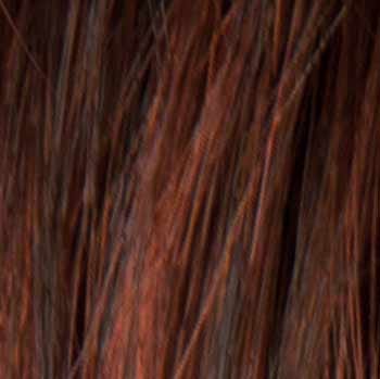 Eva Gabor Wig Color Dark Chocolate Mist