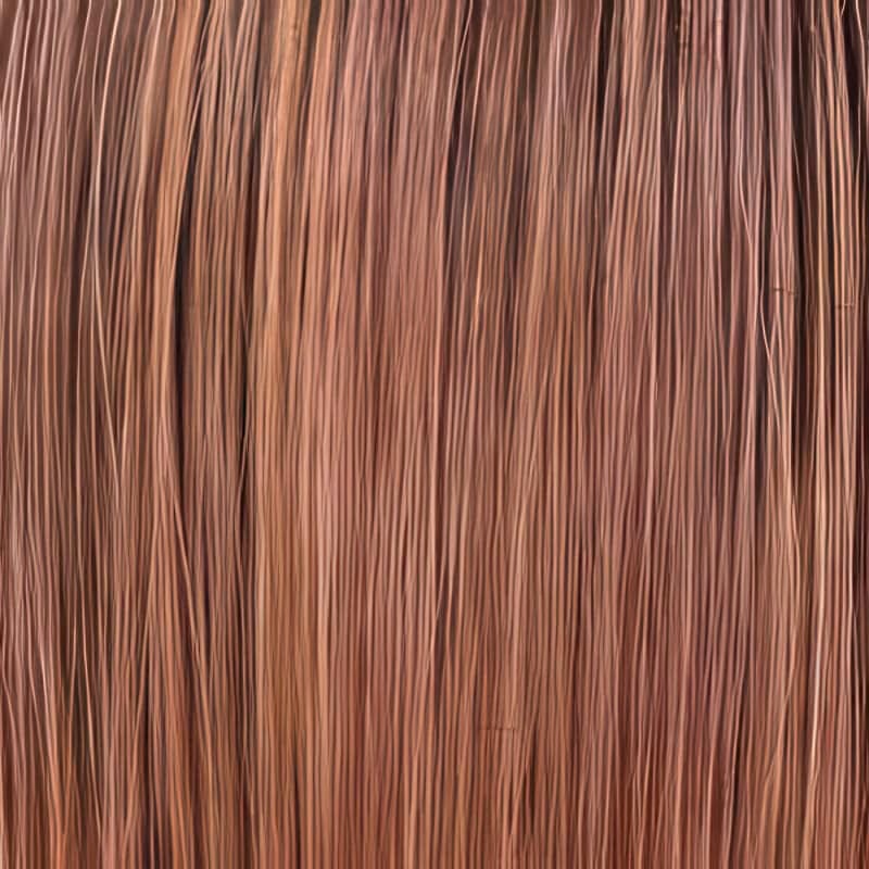 Eva Gabor Wig Color Dark Chocolate Mist