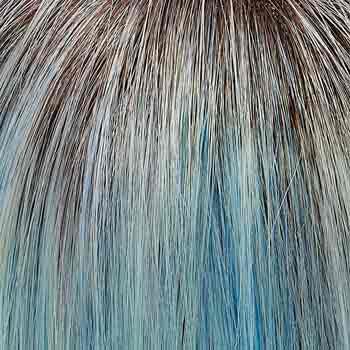 Eva Gabor Wig Color Dark Chocolate Mist