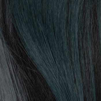 Eva Gabor Wig Color Dark Chocolate Mist