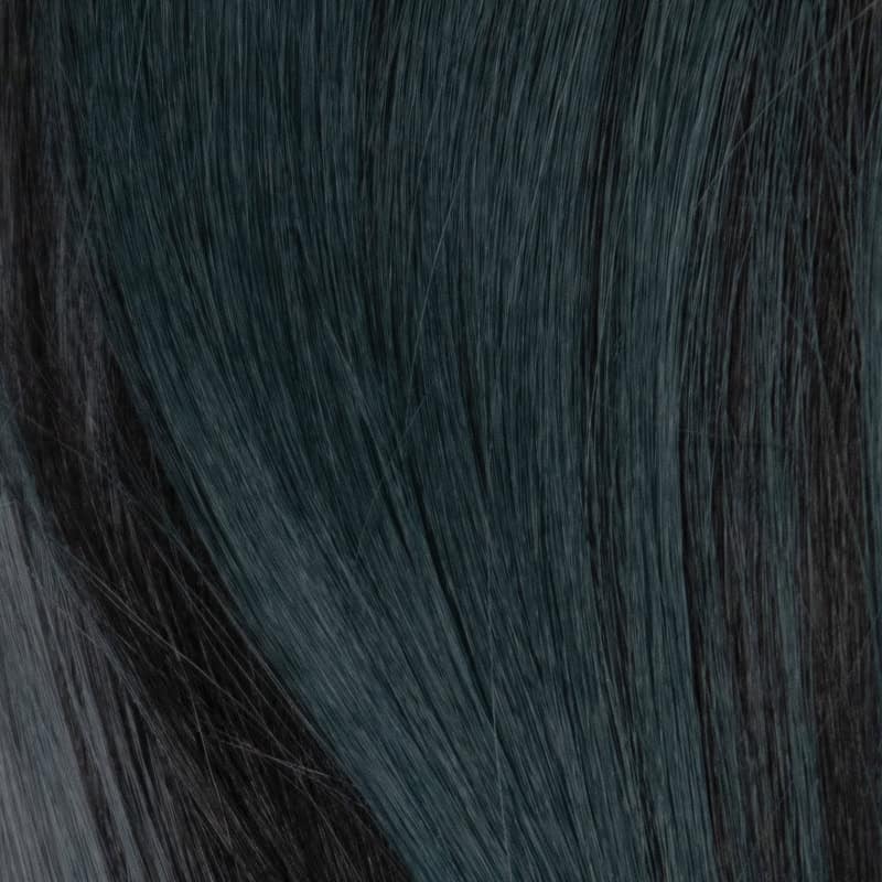 Eva Gabor Wig Color Dark Chocolate Mist
