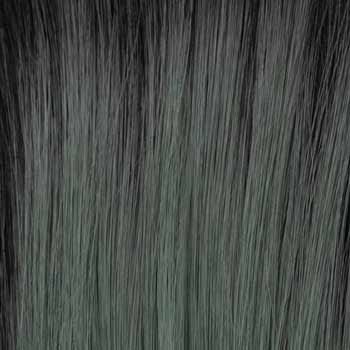 Eva Gabor Wig Color Dark Chocolate Mist