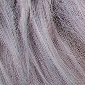 Eva Gabor Wig Color Dark Chocolate Mist