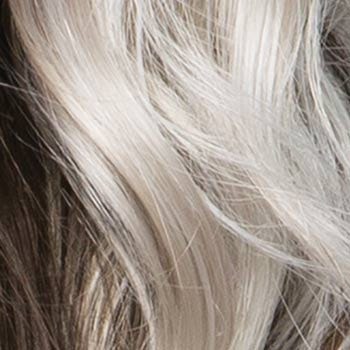 Eva Gabor Wig Color Dark Chocolate Mist