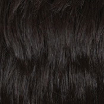 Eva Gabor Wig Color Dark Chocolate Mist