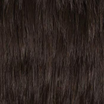 Eva Gabor Wig Color Dark Chocolate Mist
