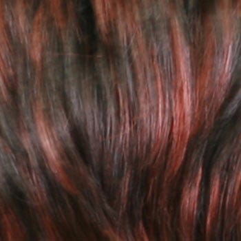 Eva Gabor Wig Color Dark Chocolate Mist