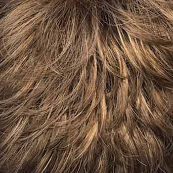 Eva Gabor Wig Color Dark Chocolate Mist