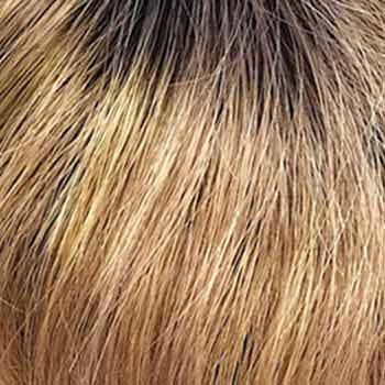 Eva Gabor Wig Color Dark Chocolate Mist