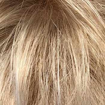Eva Gabor Wig Color Dark Chocolate Mist