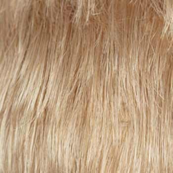 Eva Gabor Wig Color Dark Chocolate Mist