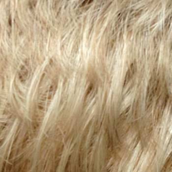 Eva Gabor Wig Color Dark Chocolate Mist