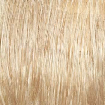 Eva Gabor Wig Color Dark Chocolate Mist