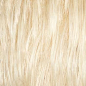 Eva Gabor Wig Color Dark Chocolate Mist