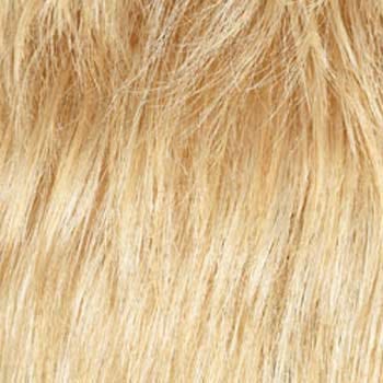 Eva Gabor Wig Color Dark Chocolate Mist