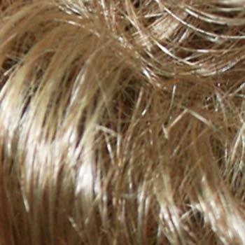 Eva Gabor Wig Color Dark Chocolate Mist