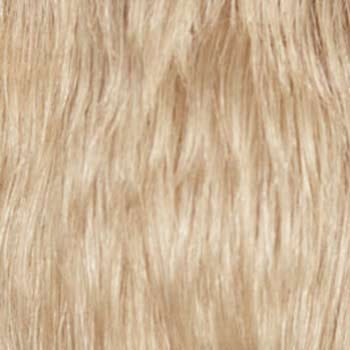 Eva Gabor Wig Color Dark Chocolate Mist