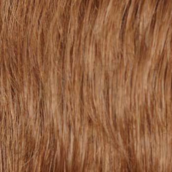 Eva Gabor Wig Color Dark Chocolate Mist