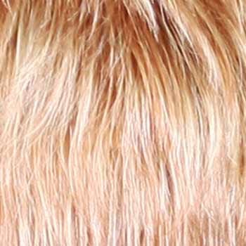 Eva Gabor Wig Color Dark Chocolate Mist