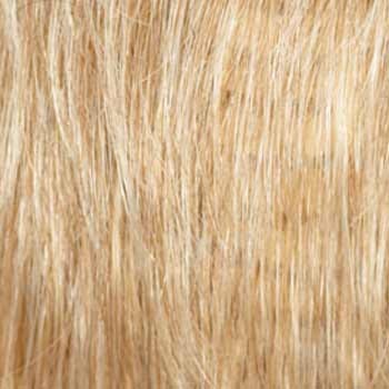 Eva Gabor Wig Color Dark Chocolate Mist