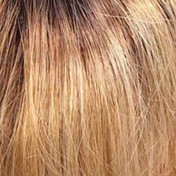 Eva Gabor Wig Color Dark Chocolate Mist