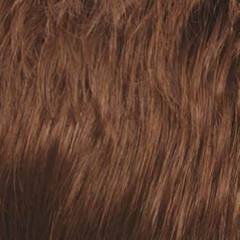 Eva Gabor Wig Color Dark Chocolate Mist