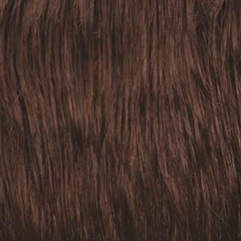 Eva Gabor Wig Color Dark Chocolate Mist
