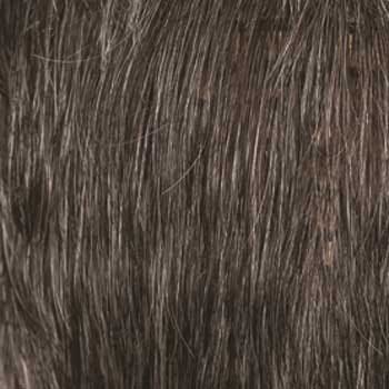 Eva Gabor Wig Color Dark Chocolate Mist