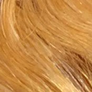 Eva Gabor Wig Color Dark Chocolate Mist