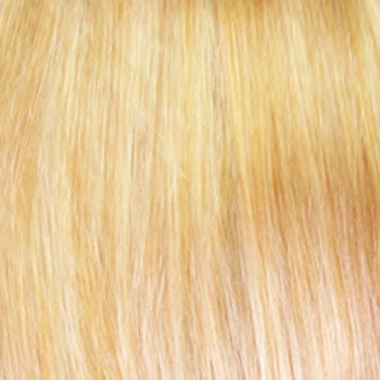 Eva Gabor Wig Color Dark Chocolate Mist