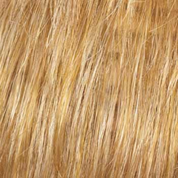 Eva Gabor Wig Color Dark Chocolate Mist