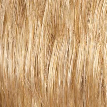Eva Gabor Wig Color Dark Chocolate Mist