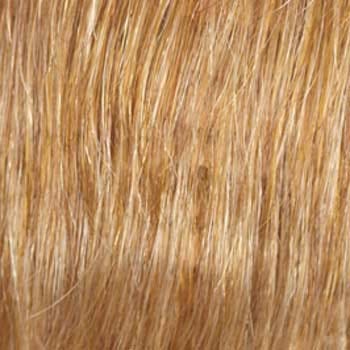 Eva Gabor Wig Color Dark Chocolate Mist