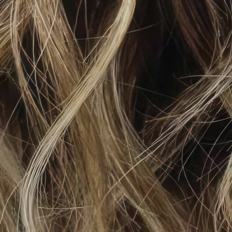 Eva Gabor Wig Color Dark Chocolate Mist