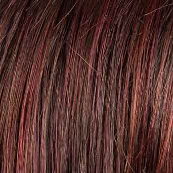 Eva Gabor Wig Color Dark Chocolate Mist
