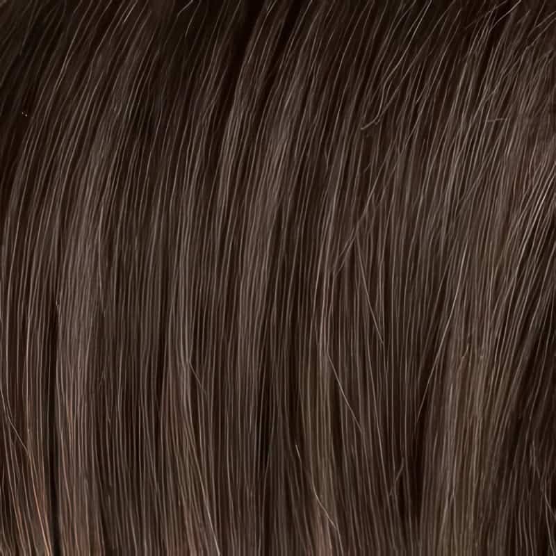 Eva Gabor Wig Color Dark Chocolate Mist