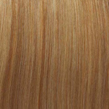 Eva Gabor Wig Color Dark Chocolate Mist