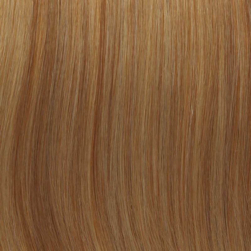 Eva Gabor Wig Color Dark Chocolate Mist
