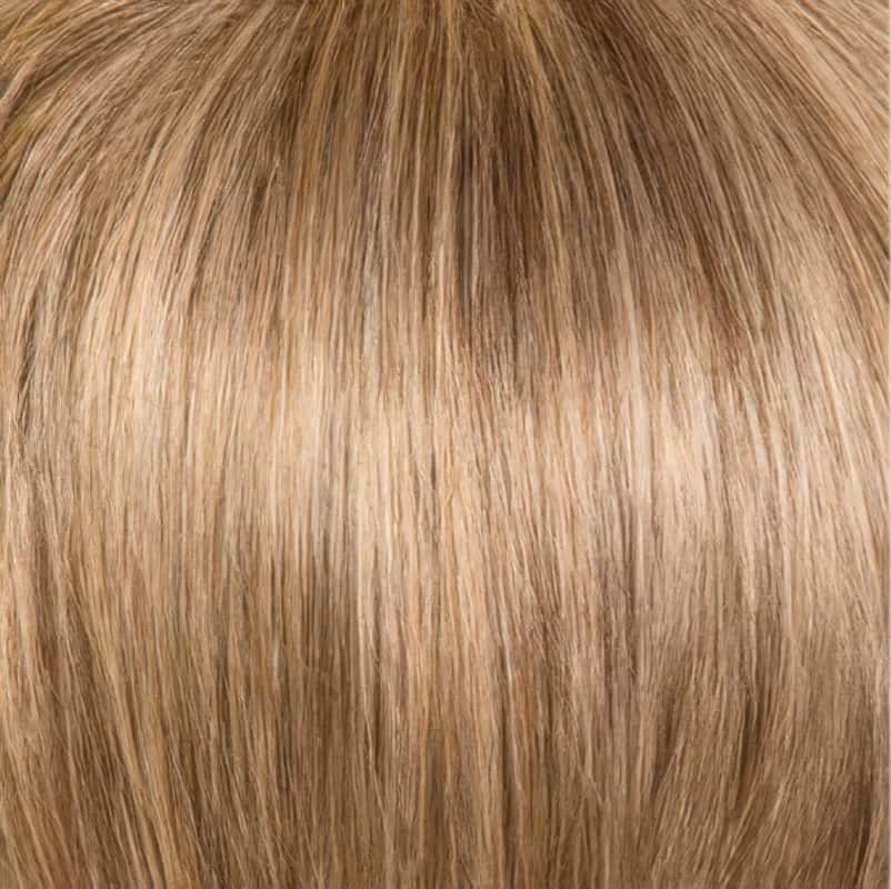 Eva Gabor Wig Color Dark Chocolate Mist