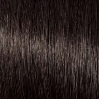 Eva Gabor Wig Color Dark Chocolate Mist